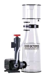 Octopus 6 Recirculating Skimmer Live Coral FREE SHIP  