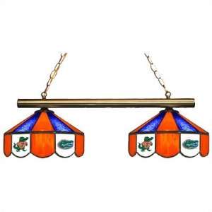   University of Florida 2 Light Pool Table Light