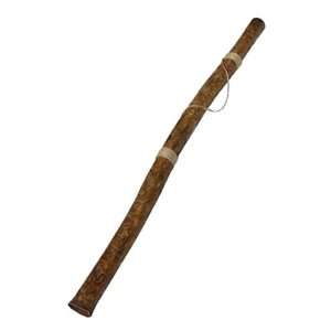   Modern Didgeridoo with Beeswax Mouthpiece   Loud Musical Instruments