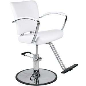  Modern White Hydraulic Styling Chair Salon Equipment 
