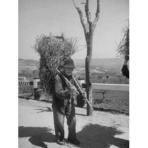 Old Man Carrying Bundle of Firewood on His Back Premium Photographic 