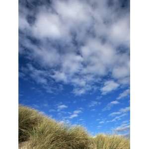 Dunes and Grasses, Mellon Udrigle, Wester Ross, Highland 