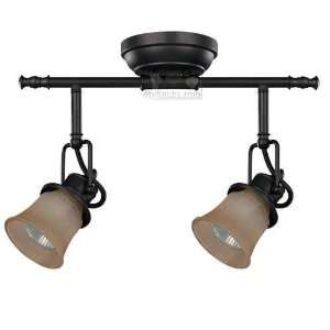  Vision   14 3/4 semi flush ceiling light in oil rubbed 