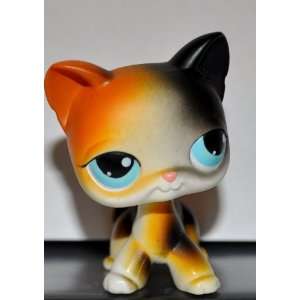 Kitten Shorthair #106 (Cat, 4 Paws, White, Blue Eyes, Orange/Black 