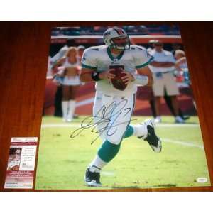  Chad Henne Autographed Picture   MIAMI DOLPHINS 16x20 