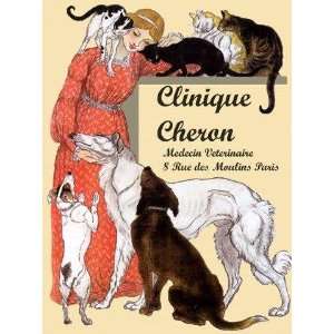 Cats, Dogs with a Lady. Clinique Cheron VET Clinic Veterinary 