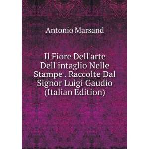   Dal Signor Luigi Gaudio (Italian Edition) Antonio Marsand Books