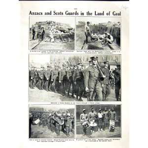  1916 WORLD WAR ANZACS SCOTTISH GUARDS SOLDIERS GAUL