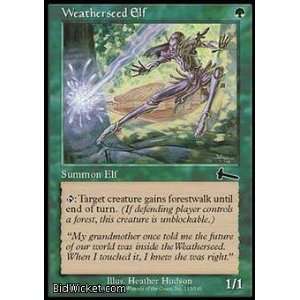 Weatherseed Elf (Magic the Gathering   Urzas Legacy   Weatherseed Elf 