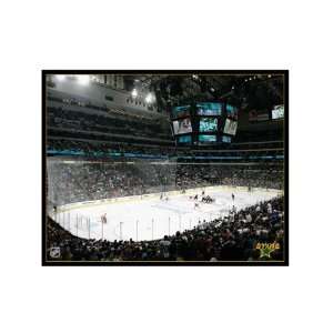  NHL Dallas Stars Arena 16x20 Canvas Art