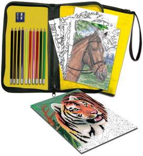 Colour Pencil By Numbers Big Kids Choice Easy To Do Keep N Carry Set 
