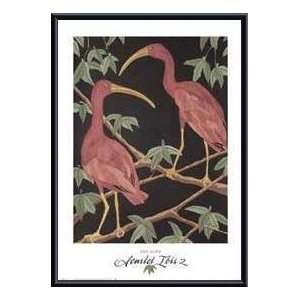   Framed Print   Scarlet Ibis 2   Artist Dan Goad  Poster Size 27 X 19