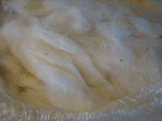 Alpaca Fiber Fleece Cleaned Processed Carded  