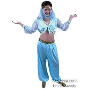  Childs Genie Arabian Costume (SizeMedium 8 10) Toys 