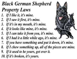 PARCHMENT PRINT BLACK GERMAN SHEPHERD DOG PROPERTY LAW  