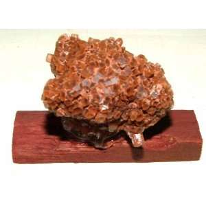  Orbital Aragonite Crystals Specimen 