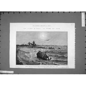   1883 Cholera Egypt Damietta Shore Dead Animals Sea Art