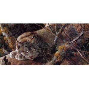  Carl Brenders   Take Five   Canada Lynx Artists Proof 