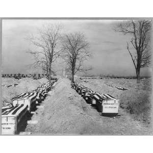   Coffins,Spanish American war,Arlington Cemetery,1989