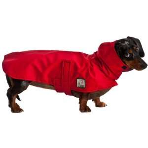  Miniature Dachshund Dog Raincoat