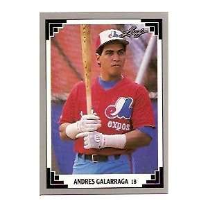 1991 Leaf #110 Andres Galarraga 