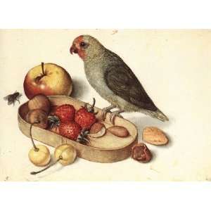   name Still life with Rarities, By Heyden Jan van der