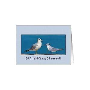  Birthday, 54th, Gull and Tern Birds Card Toys & Games