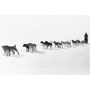  Dogsled Race Team Alaska Sweepstakes 1914 8x12 Silver 