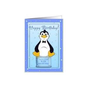   25th Birthday   Penguin on Ice Cool Birthday Facts Card Toys & Games