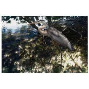   Heron Giclee Poster Print by Steve Hunziker, 56x38