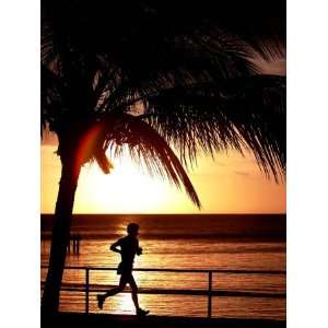  A Afternoon Runner Passes Under a Palm Tree as the Sun 