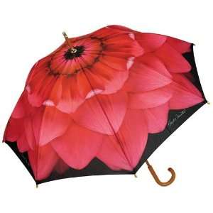  Daisy Chain   Fashion Print 48 Inch Arc Stick Umbrella