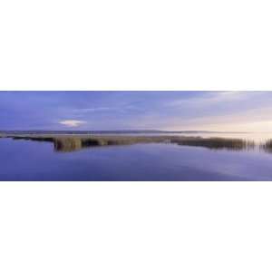  View of Weeds Growing in a Bay, Chequamegon Bay, Lake 