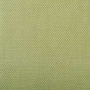  Texture Avocado by Duralee Fabric Arts, Crafts & Sewing