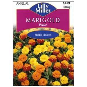  Marigold Petite Mix Patio, Lawn & Garden
