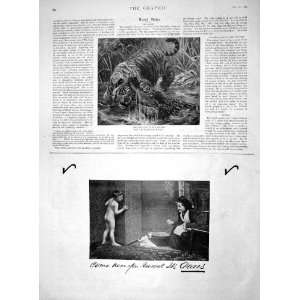  1894 Advertisment Pears Soap Tiger Fight Crocodile