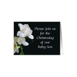  Baby Son Christening Invitation   White Freesias Card 
