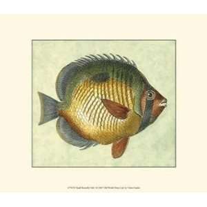  Small Butterfly Fish I   Poster (13x9.5)