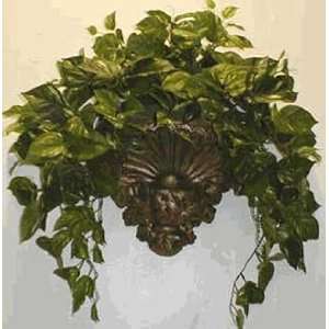  Pothos Arrangement on Wall Sconce