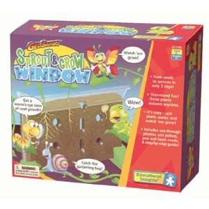    Educational Insights   Sprout And Grow Window Toys & Games