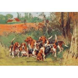   By Buyenlarge Artesien Normand Bassets 24x36 Giclee