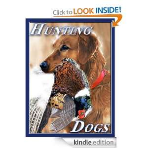   ,FIELD TRAINING DOG AND ETC) B. WATERS  Kindle Store