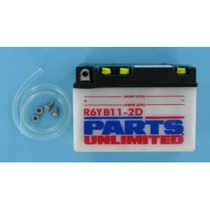  Parts Unlimited Economy Battery R6YB112D 
