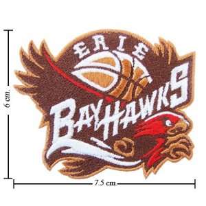  3pcs Erie Bayhawks Logo Embroidered Iron on Patches Kid 