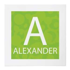    Green and Groovy Alexander 20x20 Gallery Wrapped Canvas Baby