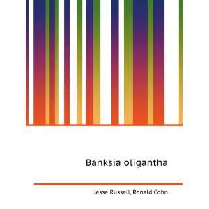  Banksia oligantha Ronald Cohn Jesse Russell Books