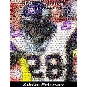 Minnesota Vikings Adrian Peterson Montage 
