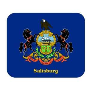  US State Flag   Saltsburg, Pennsylvania (PA) Mouse Pad 