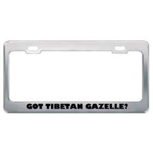 Got Tibetan Gazelle? Animals Pets Metal License Plate Frame Holder 