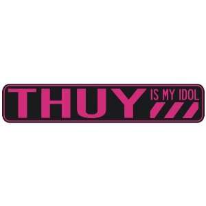   THUY IS MY IDOL  STREET SIGN